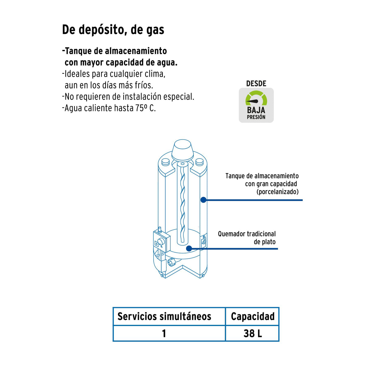 Calentador de Deposito 1 Servicio 38 Litros FOSET GAS LP