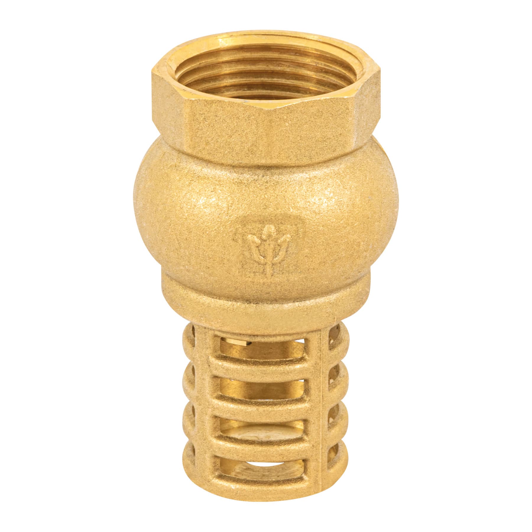 Check Pichancha Foset 1" (25 mm)