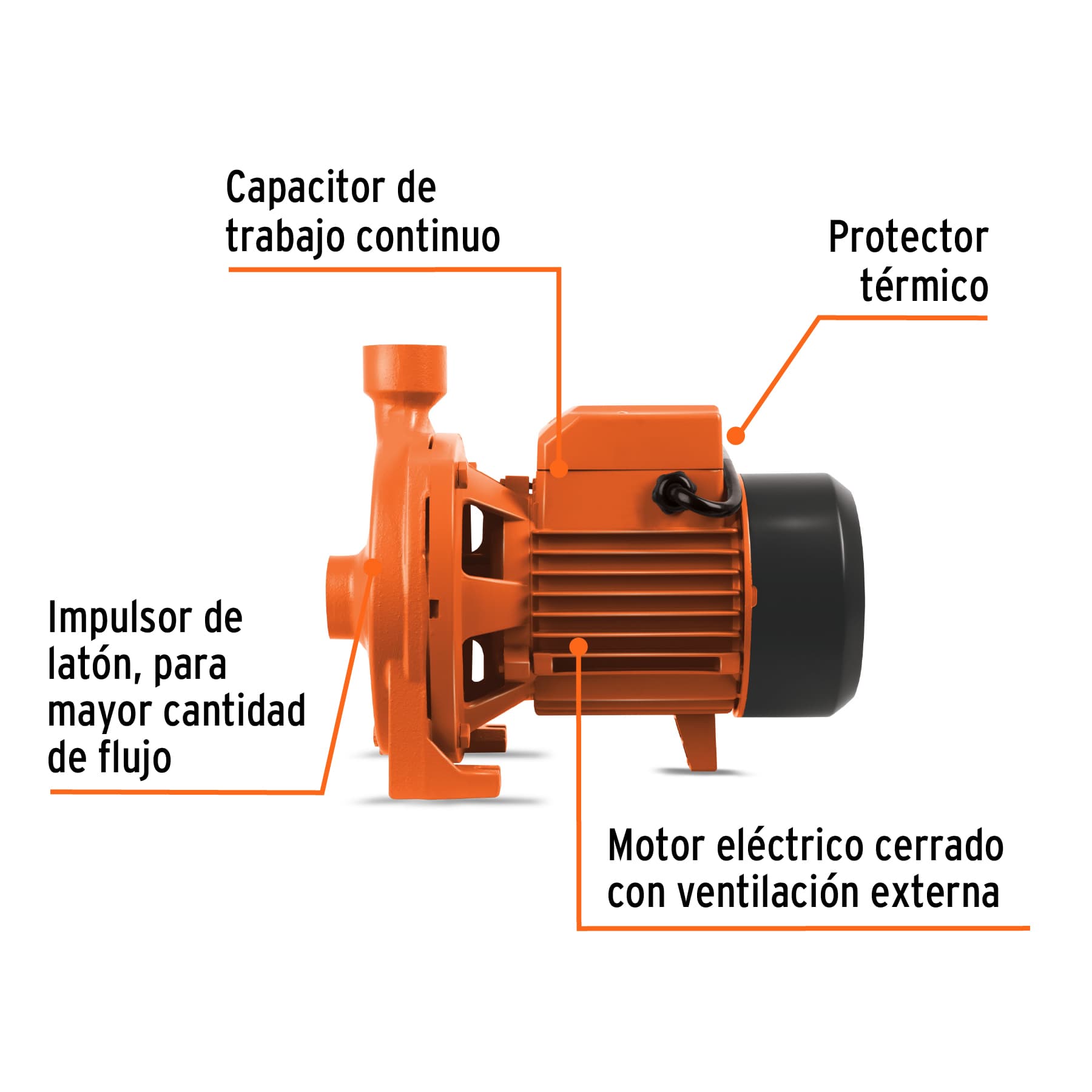 Bomba Centrifuga Modelo Europeo 1-1/2 HP Truper Expert