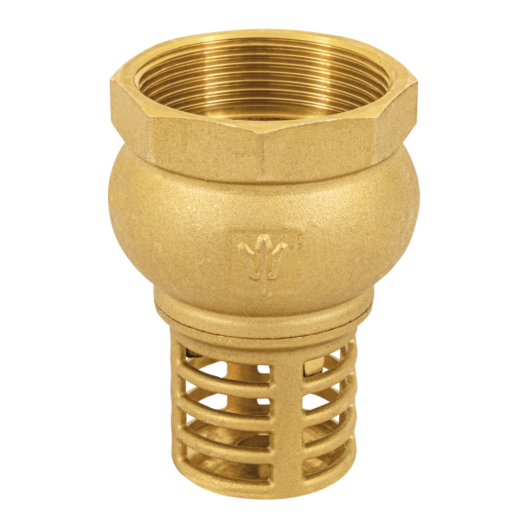 Check Pichancha Foset 2" (50 mm)