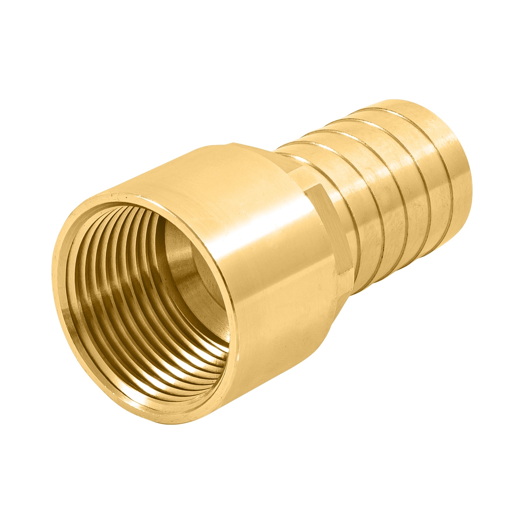 Conector Interior Espiga para Manguera de Bronce 3/4" (19 mm)