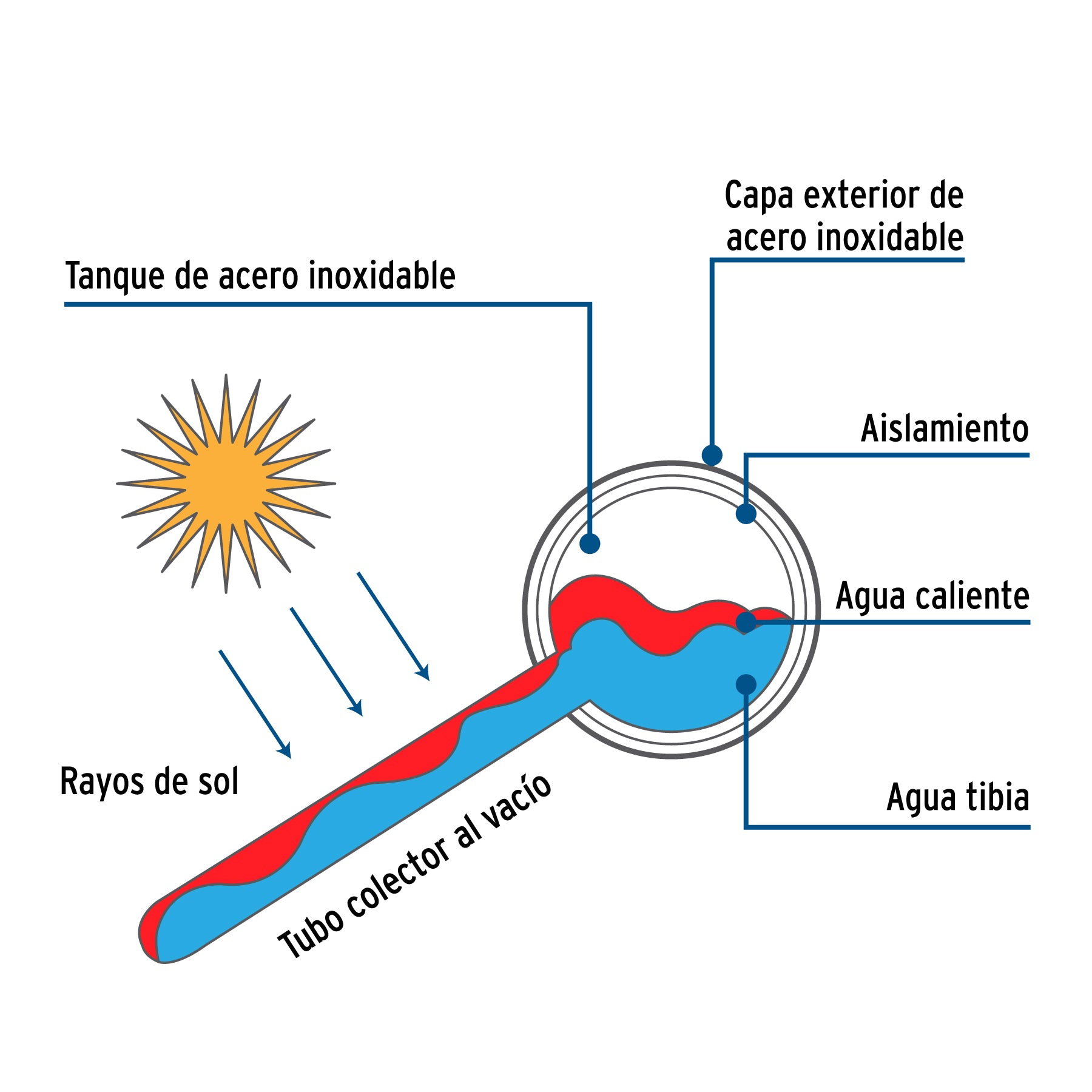 Calentador Solar de Agua de Baja Presion 12 Tubos 150 Litros Foset