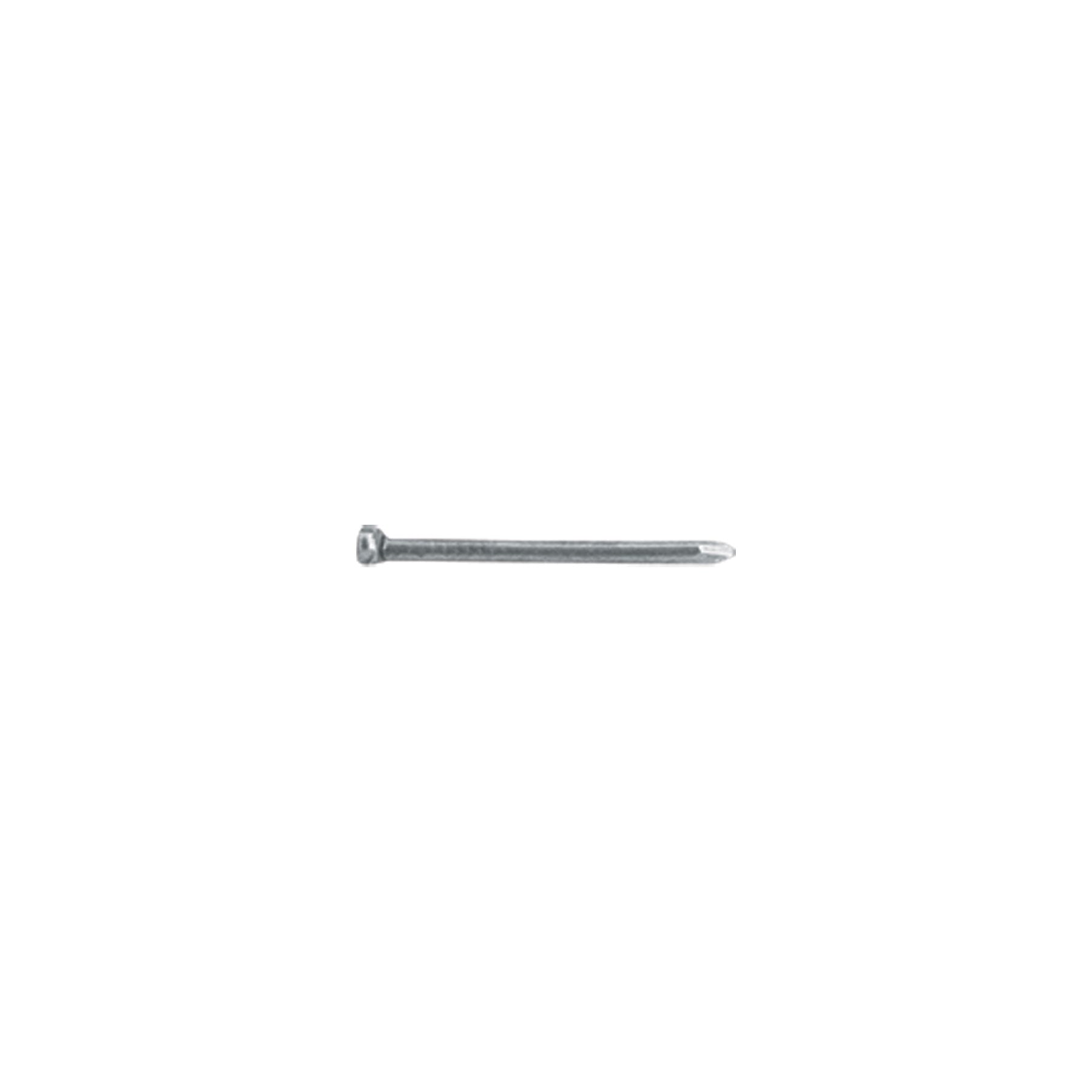 Clavo sin Cabeza Alfilerillo 3/4" (19 mm) Fiero 100 Gramos
