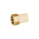 Conector Interior CPVC con Inserto Metalico Hidroflow  3/4" (19 mm)