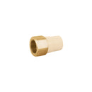 Conector Interior CPVC con Inserto Metalico Hidroflow 1" (25 mm)