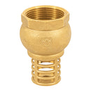 Check Pichancha Foset 1"1/4 (32 mm)