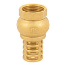 Check Pichancha Foset 1" (25 mm)