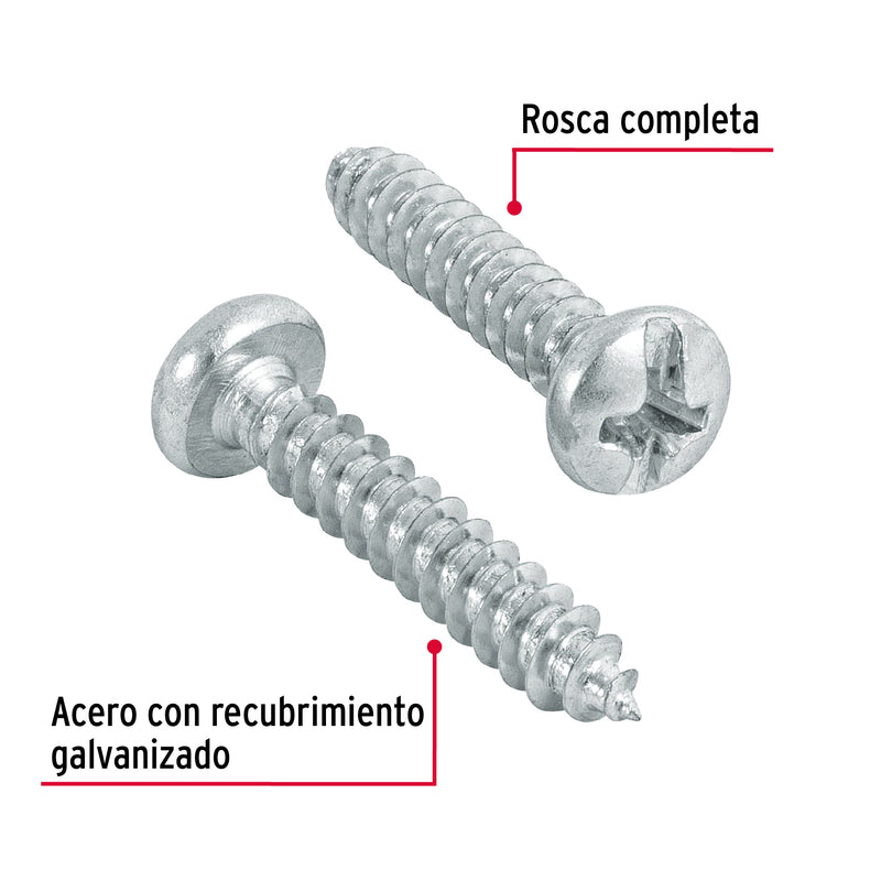 Pija para Lamina No  6 x 3/4" (19 mm) Fiero