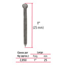 Clavo sin Cabeza Alfilerillo  1" (25 mm) Fiero 100 Gramos