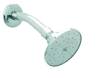 Regadera con Brazo y Chapeton 4504B Dica