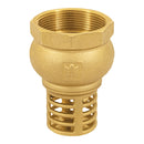 Check Pichancha Foset 2" (50 mm)